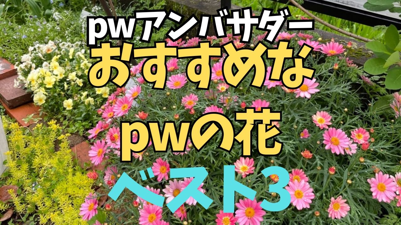 PWアンバサダーが選ぶおすすめの花ベスト3