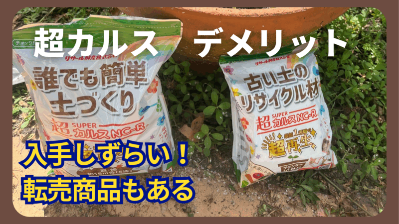 超カルスデメリット　入手しずらい！転売商品もある