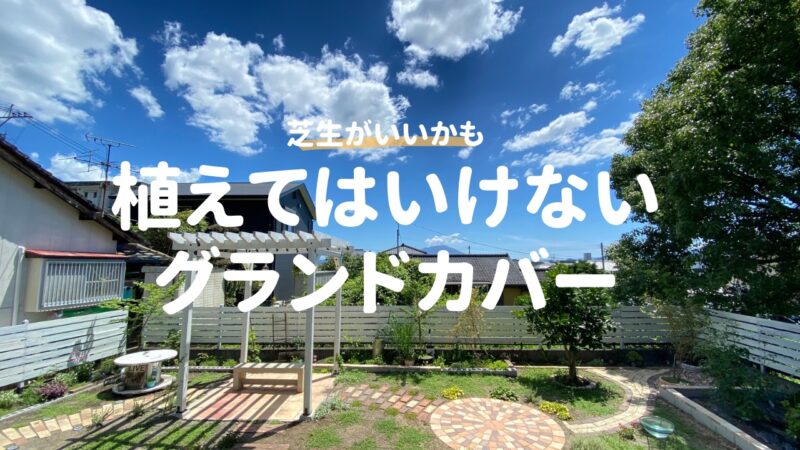 植えてはいけないグランドカバー3選